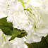 Цветок искусственный декоративный Гортензия, 50 см, белый, Y4-7906 - фото 2