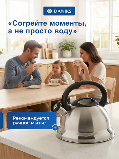 Чайник нержавеющая сталь, 2.8 л, со свистком, матовый, ручка с силиконовым покрытием, Daniks, MSY-013