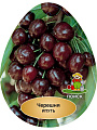 Саженцы Черешня, Ипуть ранний, 752166