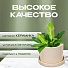 Кашпо керамика, 16х15.5 см, для цветов, белая матовая, Лидер №2, 4933 - фото 7