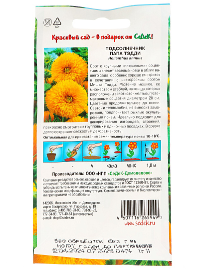 Семена Цветы, Подсолнечник, Папа Тэдди, цветная упаковка, Седек