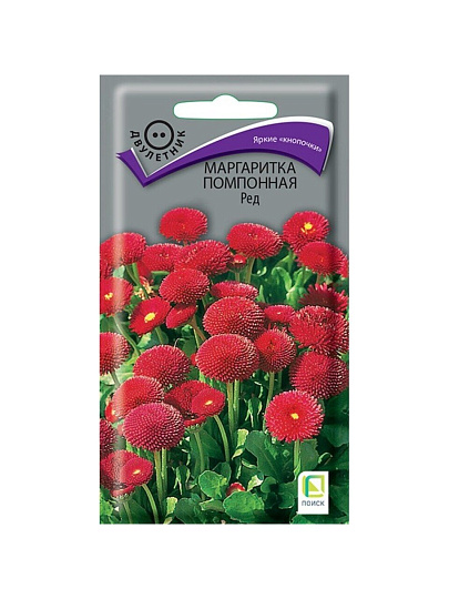 Семена Цветы, Маргаритка, Ред, 0.05 г, помпонная, цветная упаковка, Поиск