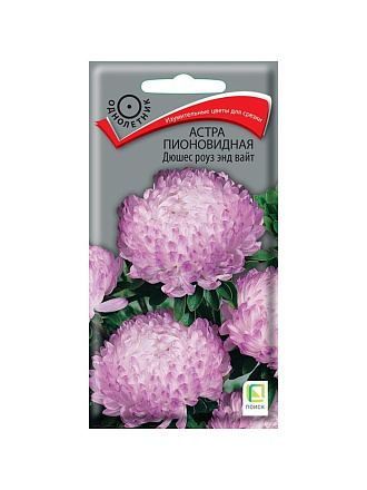 Семена Цветы, Астра, Дюшес роуз энд вайт, 0.3 г, пионовидная, темно-красная, цветная упаковка, Поиск