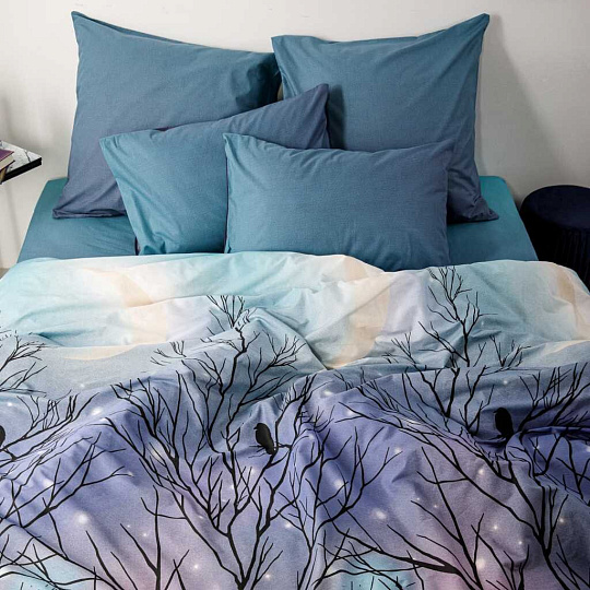 Постельное белье евро, простыня 215х240 см, 2 наволочки 70х70 см, пододеяльник 200х215 см, Ночь нежна, поплин, Черная птица