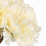 Цветок искусственный декоративный Гвоздика букет, 31 см, белый, Y6-10408 - фото 3