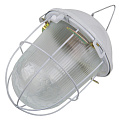 Светильник General Lighting Systems, НСП 02-100-002.01, 100 Вт, E27, на 1 лампочку, IP54, 24.6х24.6х17.2 см, с решеткой, 437822