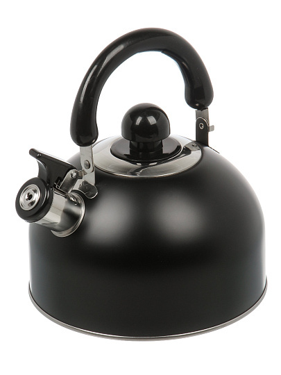 Чайник нержавеющая сталь, 2.5 л, со свистком, матовый, ручка металлическая, Daniks, индукция, черный, GS-04001