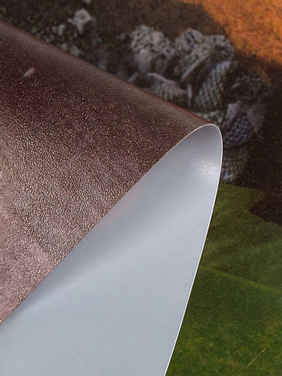 Набор салфеток пластик, 40х28 см, прямоугольный, 4 шт, для стола, Мандарины, Y4-9157