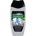 Гель для душа Palmolive, 3в1, для мужчин, 250 мл - фото 3