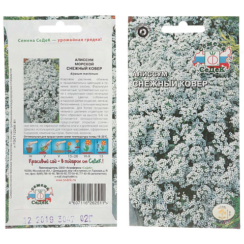 Семена Цветы, Алиссум, Снежный ковёр, 0.2 г, цветная упаковка, Седек