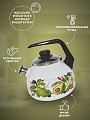 Чайник сталь, эмалированное покрытие, 3 л, со свистком, ручка консольная, СтальЭмаль, Авокадо, индукция, 4с209я - фото 3