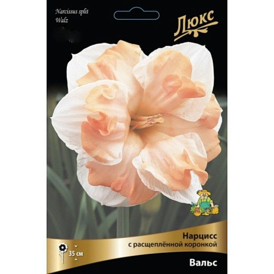 Луковицы Нарцисс с расщепленной коронкой, Вальс, 12-14, 3 шт