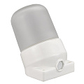 Светильник для бани, General Lighting Systems, GCF-SNC-60-E27-IP65-W,437768, 60 Вт, E27, на 1 лампочку, IP65, НПБ400-1, наклонный, керамика, белый, 437768