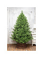 Елка новогодняя напольная, 240 см, Торжественная, ель, хвоя литая, 167240, ЕлкиТорг - фото 2