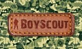 Boyscout