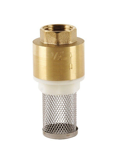 Клапан обратный 1", с фильтром, индивидуальная упаковка, MasterProf