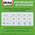 Корм для животных Kitekat, 85 г, для кошек, рыба в соусе, пауч - фото 5