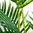Дерево искусственное декоративное Пальма, в кашпо, 100 см, Y4-3381 - фото 3