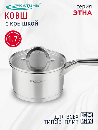 Ковш нержавеющая сталь, 1.7 л, крышка стекло, ручка нержавеющая сталь, индукция, Катунь, Этна, КТ21-К