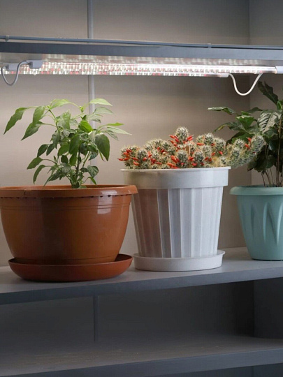 Светильник светодиодный для растений, 30 Вт, 210-265 В, IP65, Эра, FITO-3х10W-LINE-Ra90, Б0049315