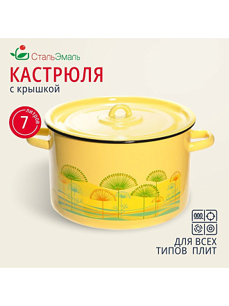 Кастрюля эмалированная сталь, 7 л, крышка сталь, СтальЭмаль, 1с18с, в ассортименте, индукция