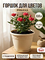 Горшок для цветов пластик, 0.8 л, 13х10.5 см, латте, Idea, Рябина, М 3052