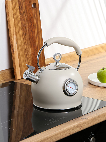 Чайник нерж, 3 л, со свист, нержавеющая сталь, с термометром, Daniks, GS-04436B