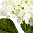 Цветок искусственный декоративный Гортензия, 70 см, белый, Y4-7156 - фото 2