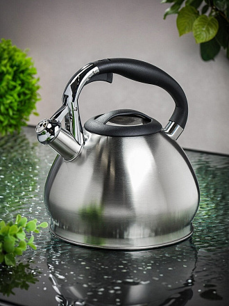 Чайник нержавеющая сталь, 3 л, со свистком, матовый, ручка бакелитовая, Daniks, GS-04511