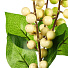 Цветок искусственный декоративный Ветвь с ягодами, 40 см, белый, Y4-7949 - фото 2