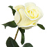 Цветок искусственный Роза, 42 см, белый, Y4-6943 - фото 2