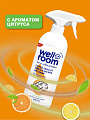 Чистящее средство для кухни, спрей-пена, Wellroom, Антижир, 500 мл