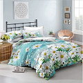 Постельное белье 2-спальное, простыня 180х210 см, 2 наволочки 70х70 см, пододеяльник 175х215 см, Майская ночь, полисатин, Daisy