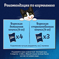 Корм для животных Феликс, Природа вкуса, 75 г, для взрослых кошек, кусочки в соусе, говядина, пауч, 12512725 - фото 5
