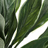Цветок искусственный декоративный Ветвь, 40 см, зеленый, Y6-10376 - фото 2
