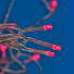 Бахрома светодиодная 195, 12 м, Uniel, розовый, с эффектом мерцания, на улице/в помещении, сетевая, UL-00010881 - фото 2