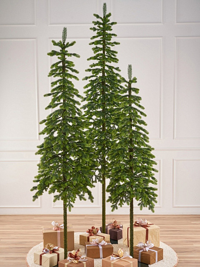 Елка новогодняя напольная, 180 см, Королева Тянь Шаня, ель, зеленая, хвоя литая, подставка металл, КТШ 18