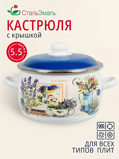 Кастрюля эмалированная сталь, 5.5 л, крышка сталь, сферический, СтальЭмаль, Горная лаванда, 6RC221M, индукция